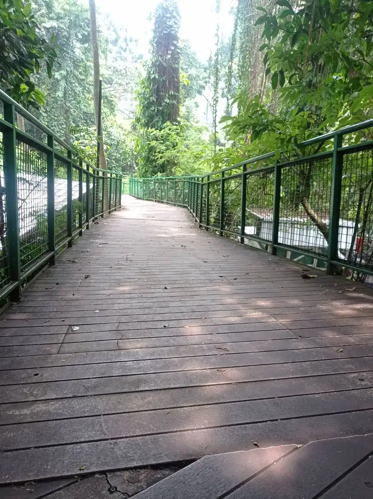 tukang kebun, paking online shop..