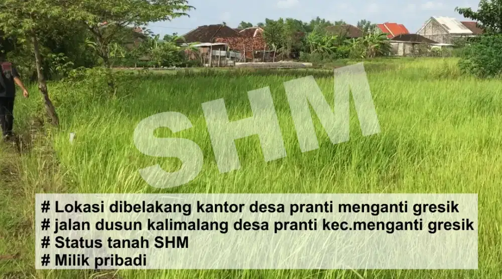 jual tanah milik pribadi status shm.belakang kel./kantor desa pranti