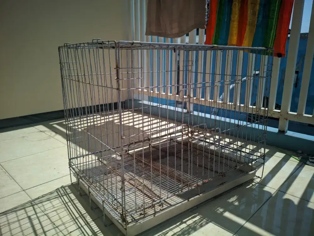 kandang kucing siap pakai