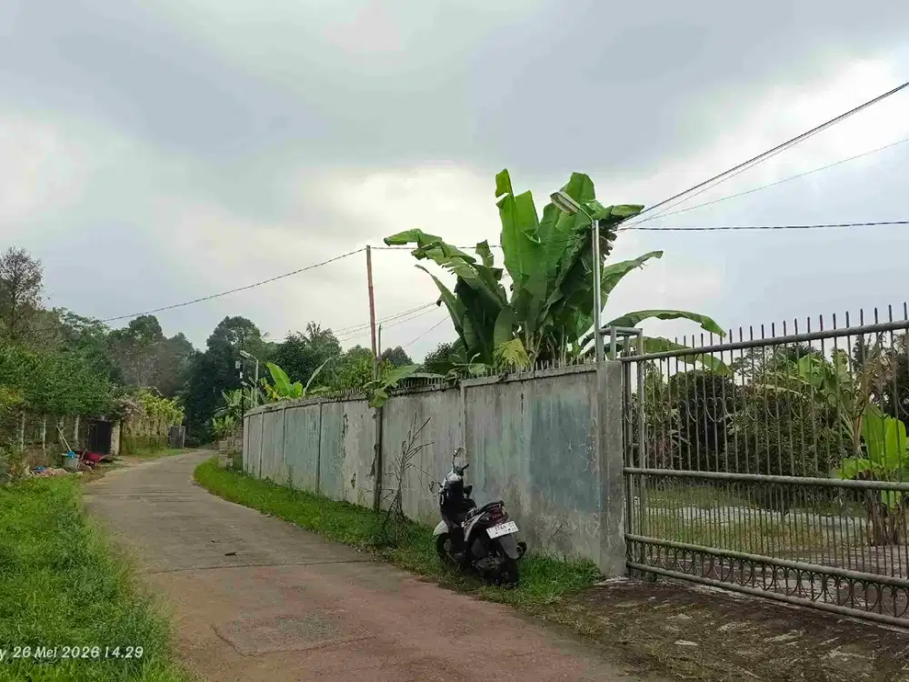 Dijual Kebun Produktif Siap Pakai Gudang Bonus, Full Pagar Bata, Lokasi Strategis di wanayasa pwk
