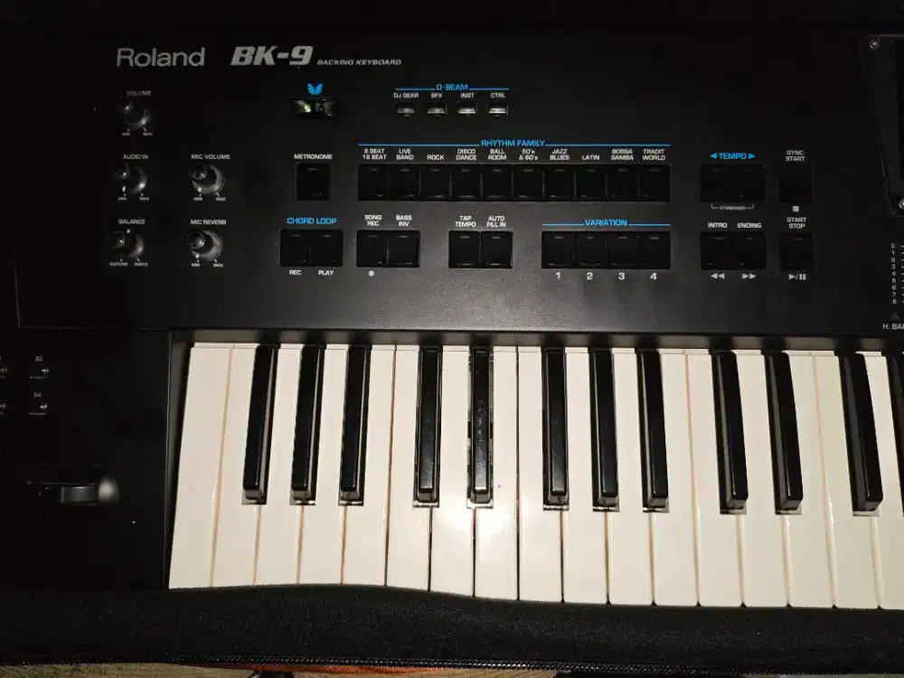 Roland BK 9 second.