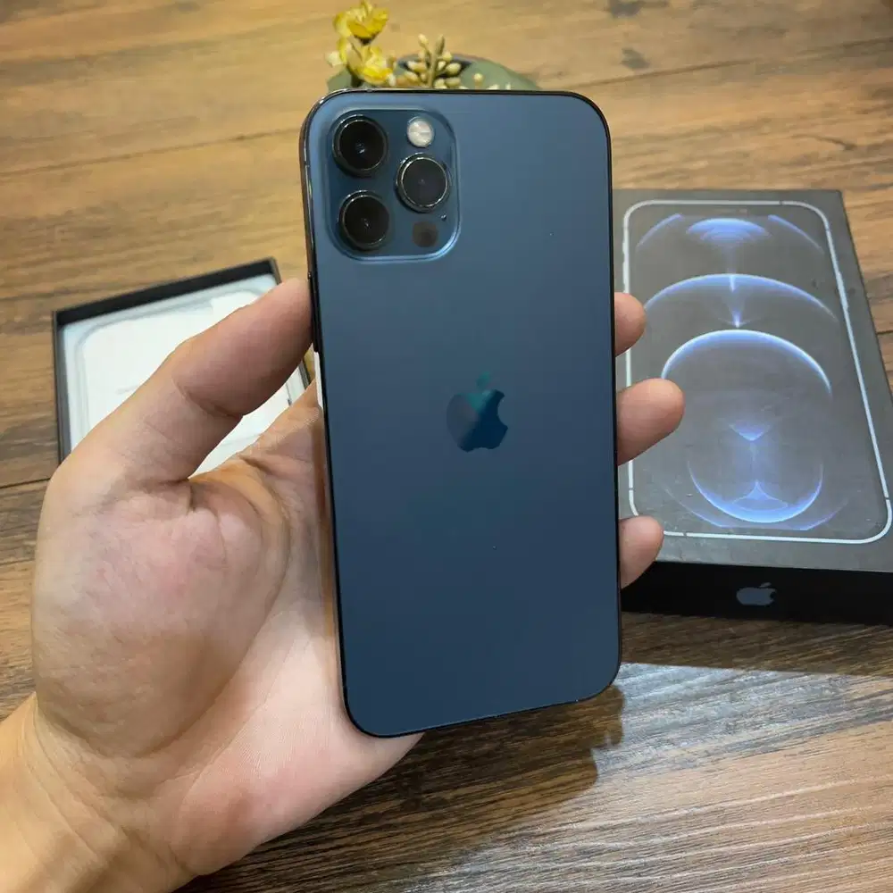 Iphone 12 pro 256GB resmi ibox