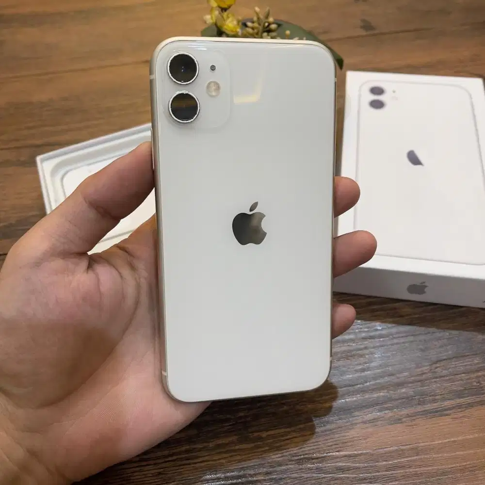 Iphone 11 128gb resmi ibox