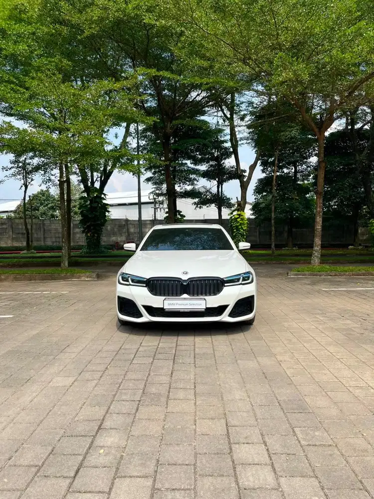 Bmw G30 520i M Sport