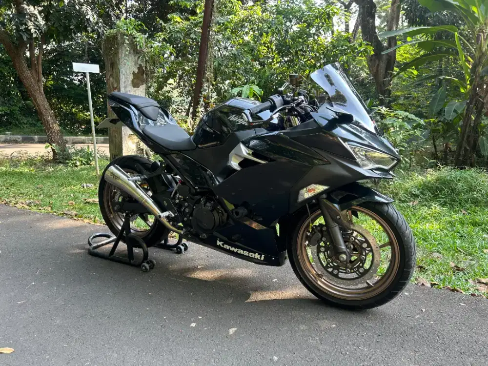 Kawasaki Ninja 250 FI 2019