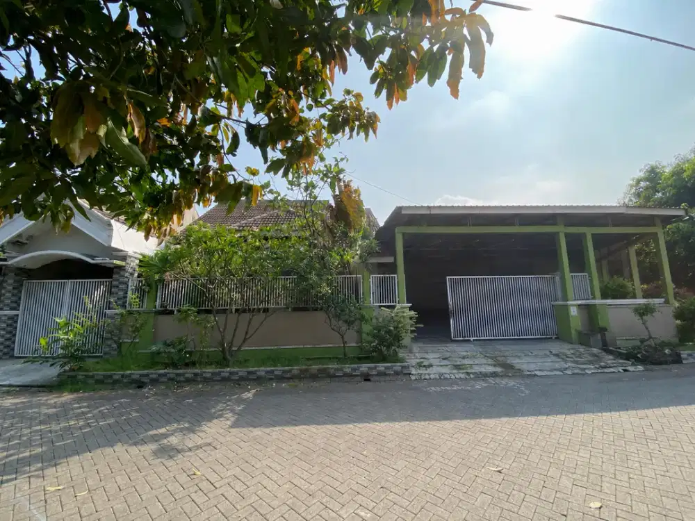 Delta sari
