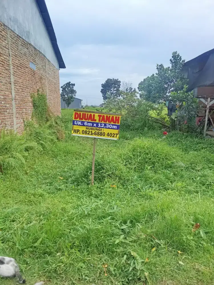 DiJual Tanah Ukuran 6 x 12,30m (55jt nego)