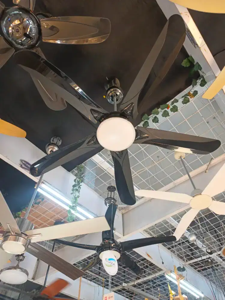 Mt. Edma Studio Bcch Ceiling
