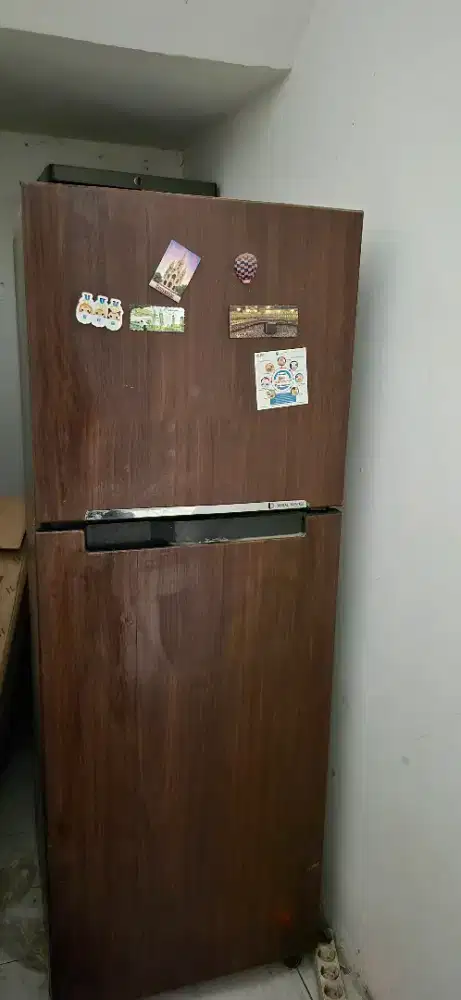 Kulkas Samsung 2 pintu