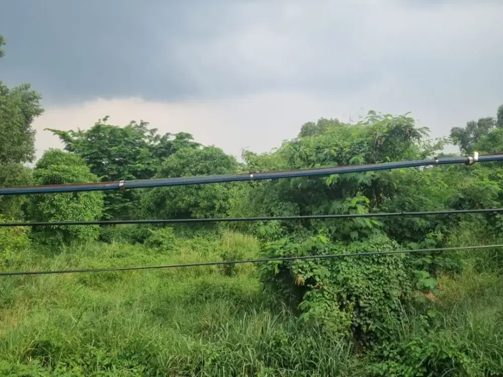 Dijual Tanah Luas 38000 Jl. Aria Putra Serua Indah Ciputat