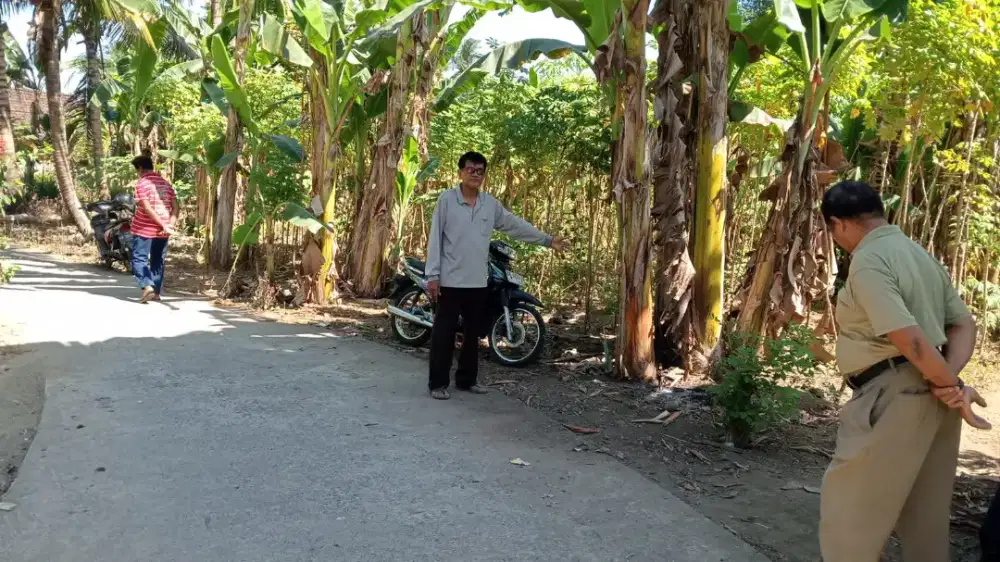Jual tanah di Galur Kulonprogo