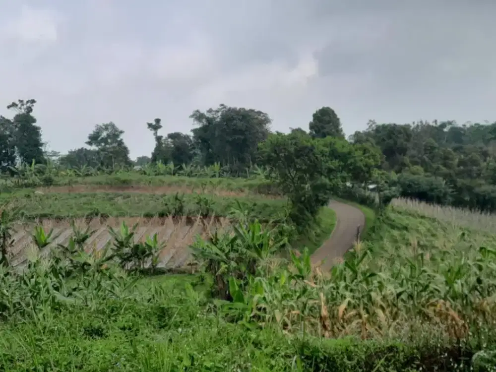 dijual lahan pinggir jalan 5Ha cocok untuk berkebun / wisata