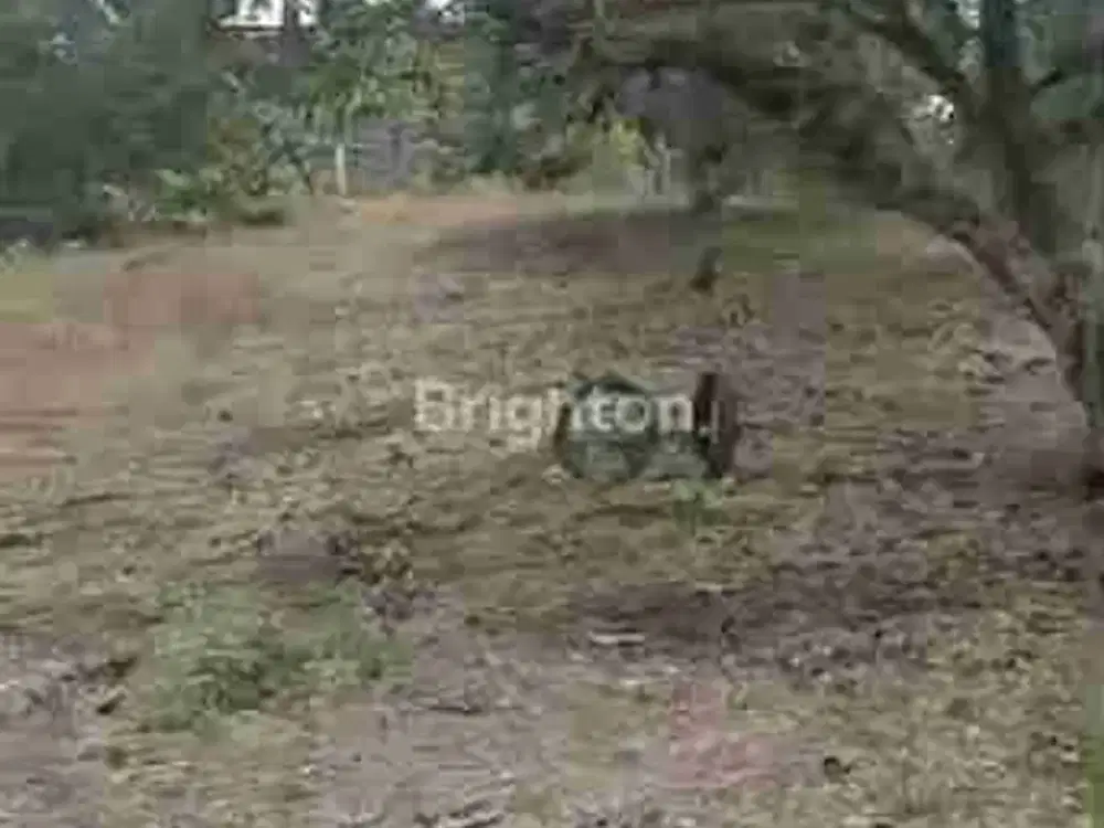 Sale. Jual Tanah Luas 2000m2 Lokasi Strategis Sepinggan Harga Nego