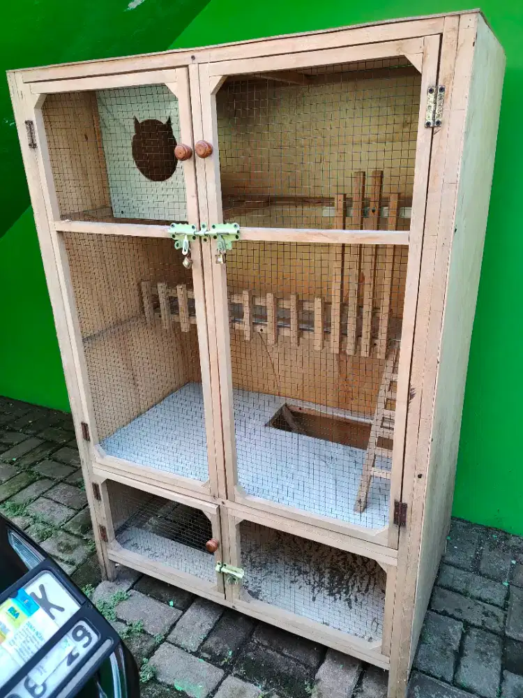 Kandang kucing kayu