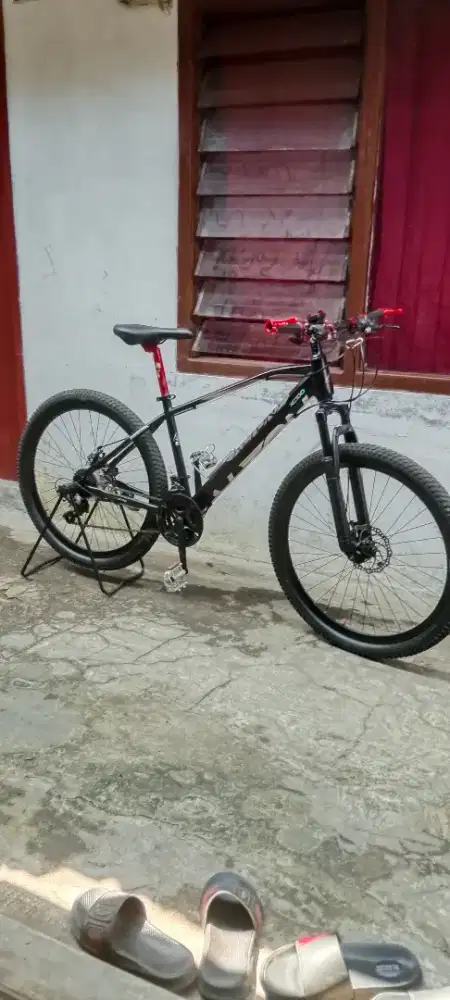 Sepeda MTB element ALTON