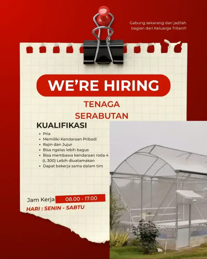Dibutuhkan Tenaga Serabutan