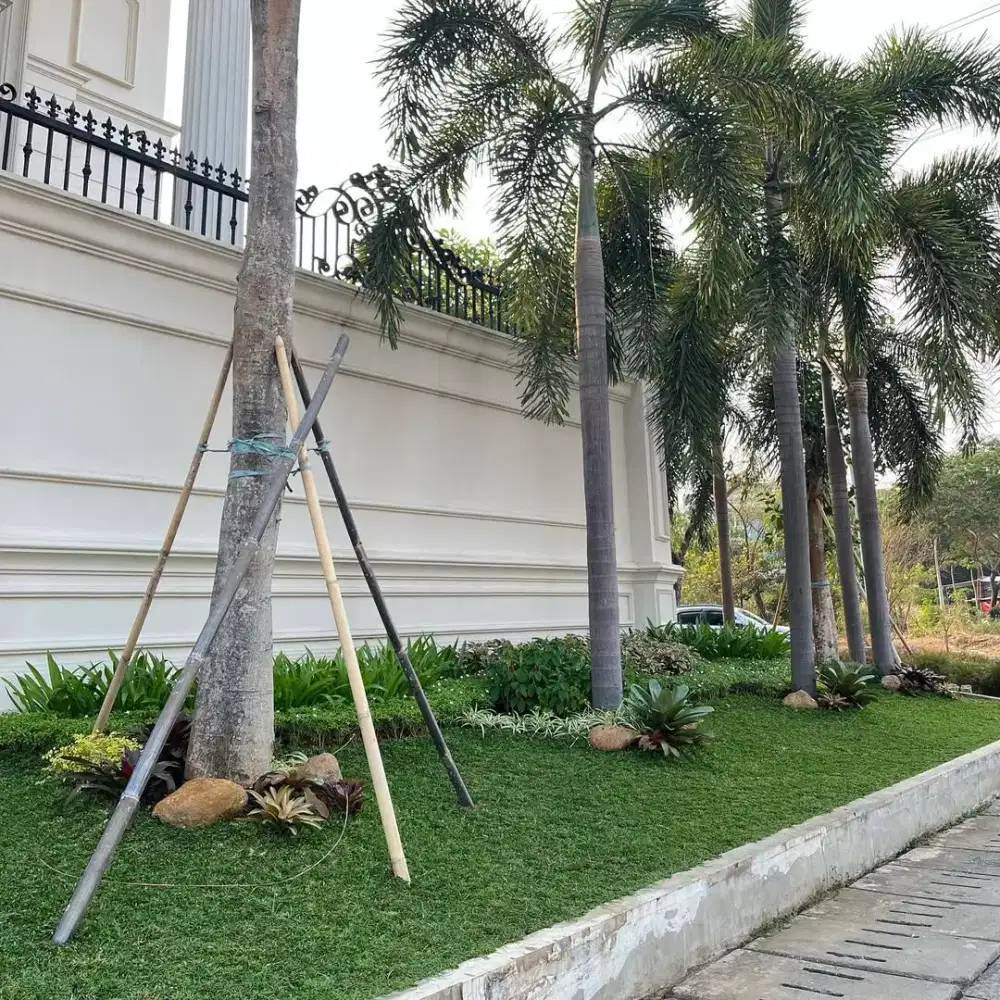 Menerima pekerjaan taman rumputt dan taman kering dan renofasii taman