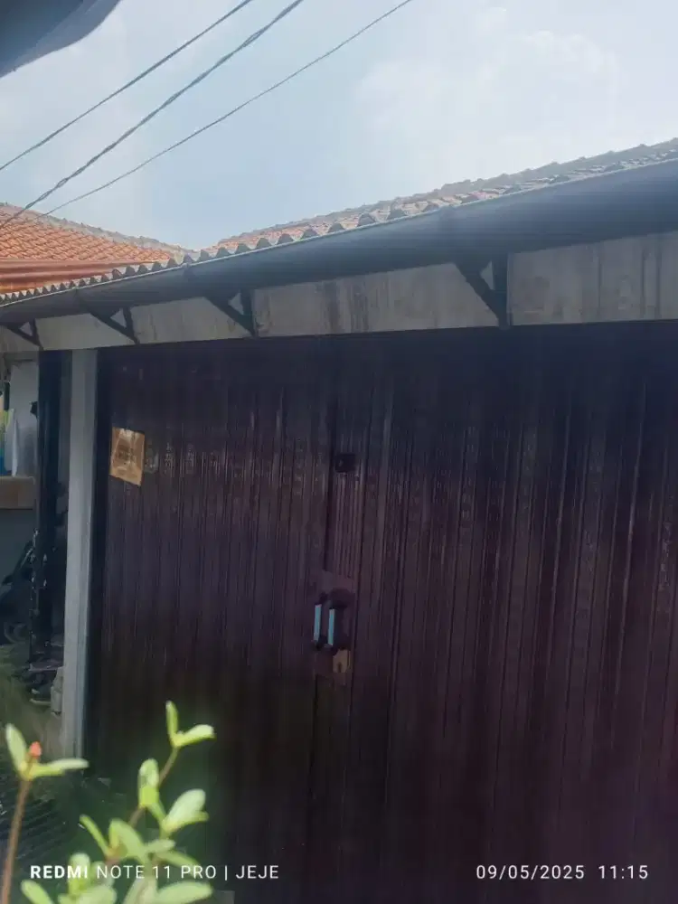 Jual lolindor warung