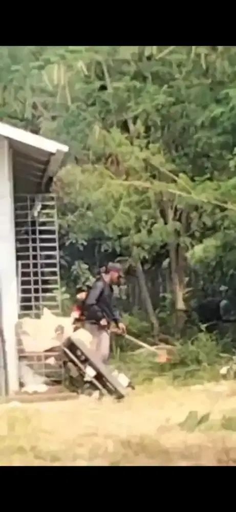 Jasa tebang pohon dan potong rumput TERBAIK DAN TERMURAH sejabotabek
