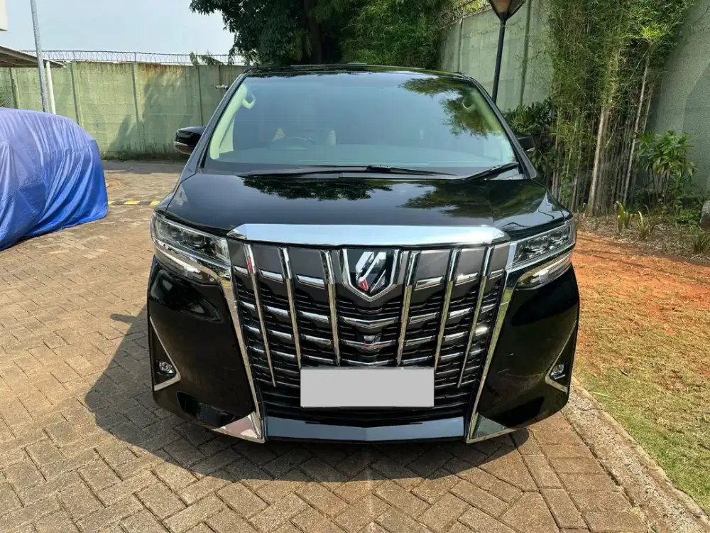 For sale ALPHARD G ATPM 2019 SUPER ULTRA LOW KM 3 Ribuan