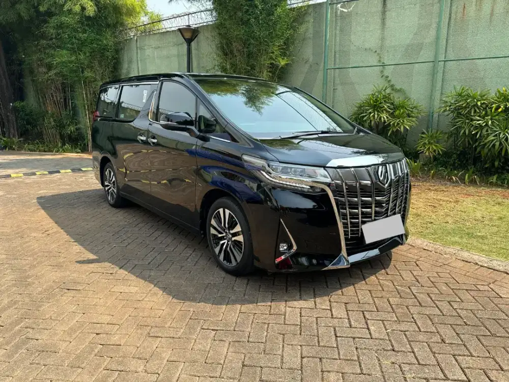 For sale ALPHARD G ATPM 2019 SUPER ULTRA LOW KM 3 Ribuan