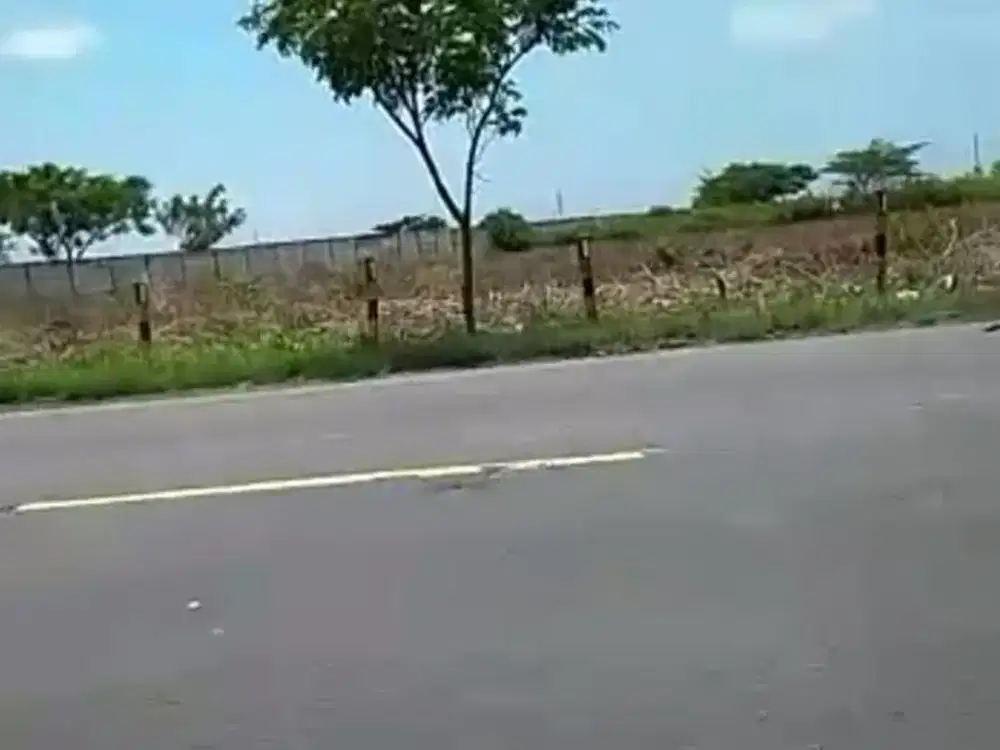 Tanah Plot Industri Raya Kota Tuban Kec Widang Super Murah