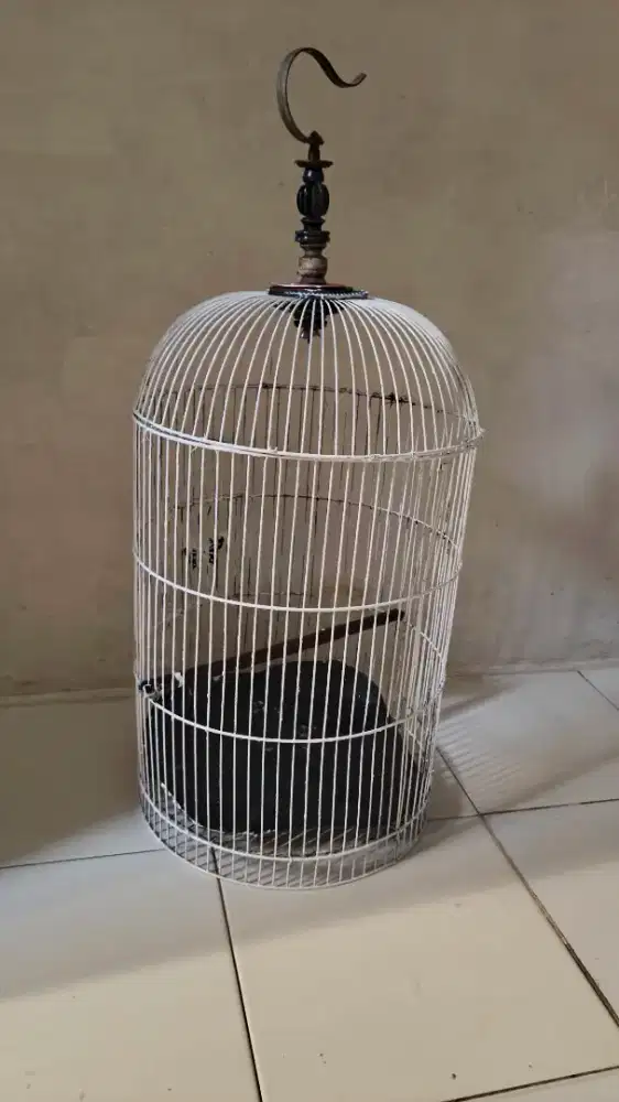 Kandang burung love bird sesuai di foto tinggl bli pion di shope