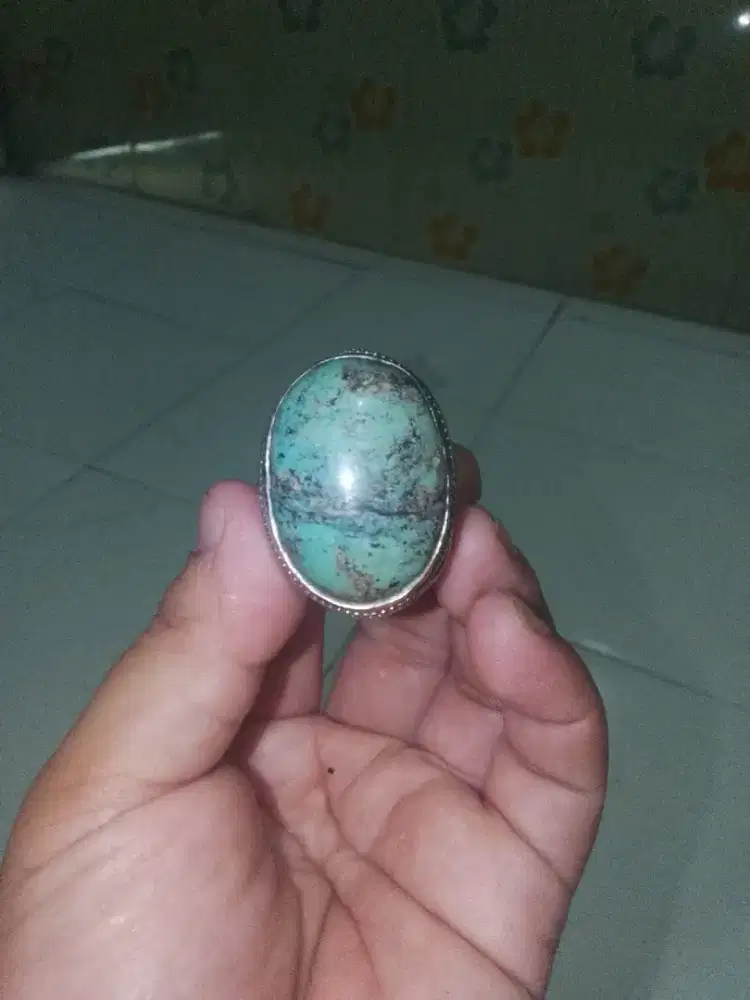 Pirus Persia jumbo lawasan
