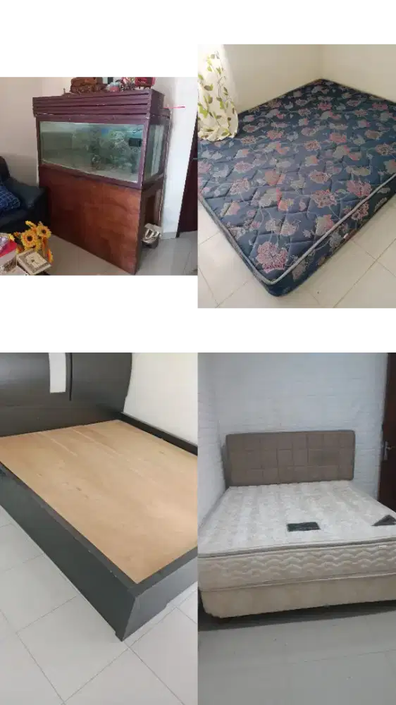 Akuarium, Springbed, Dipan tempat tidur / kasur
