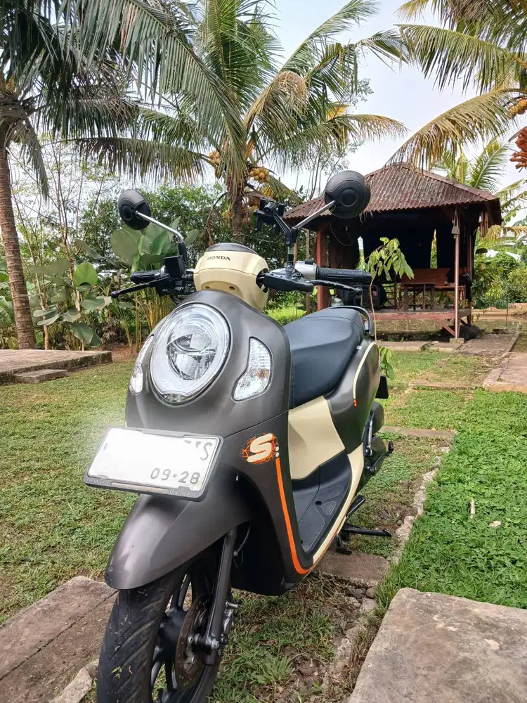 HONDA SCOOPY LOW KM