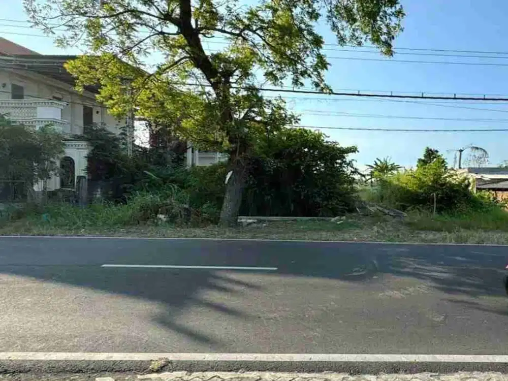 Dijual Tanah Nol Jalan Raya Balong Panggang Gresik