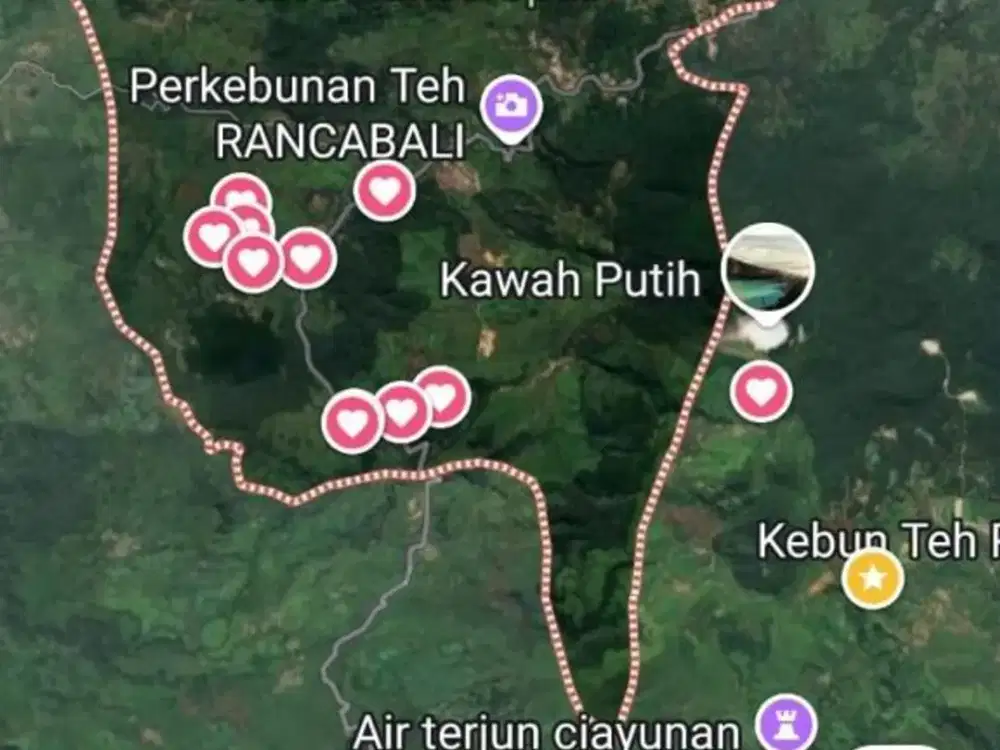 Jual Kebun Teh dan Pabrik Teh Ciwidey Bandung 9000/m 2000Ha