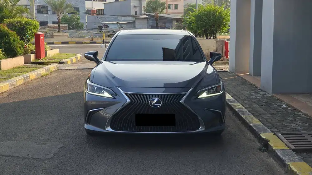 Lexus ES300 ES 300 Hybrid Ultra Luxury AT Grey On Beige 2019 Low KM