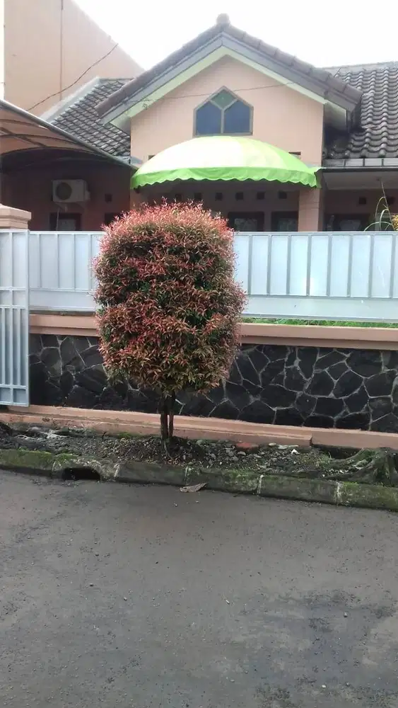 Disewakan rumah aman dan nyaman di Bogor, Kebun Raya Residence