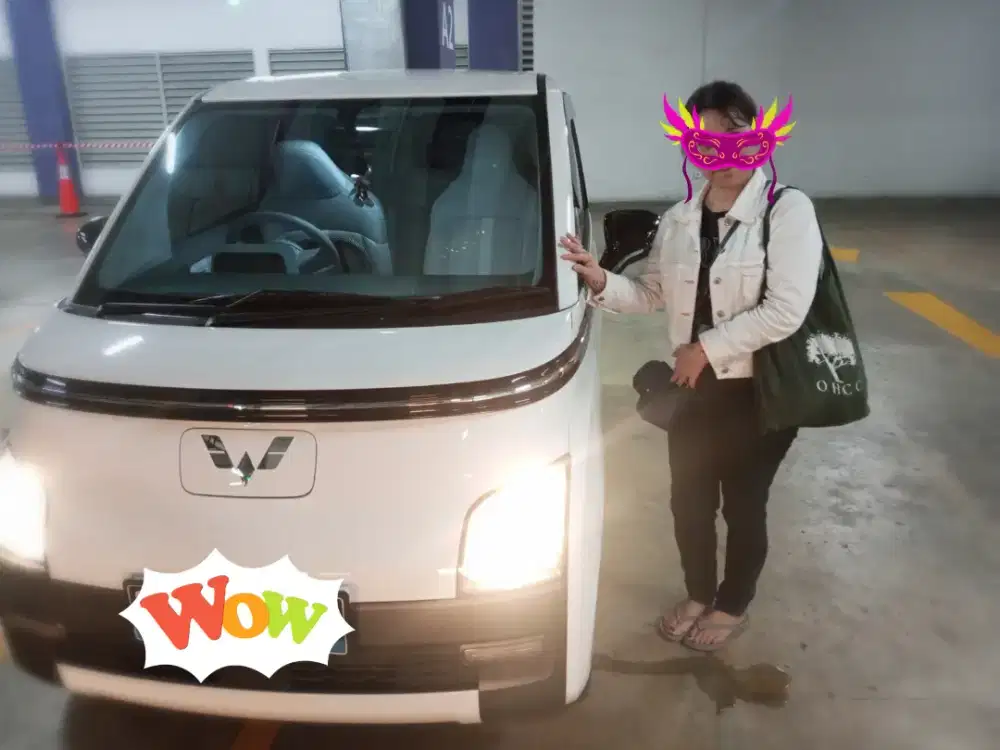 Wuling. Air Ev 2024 Lite Long - 300