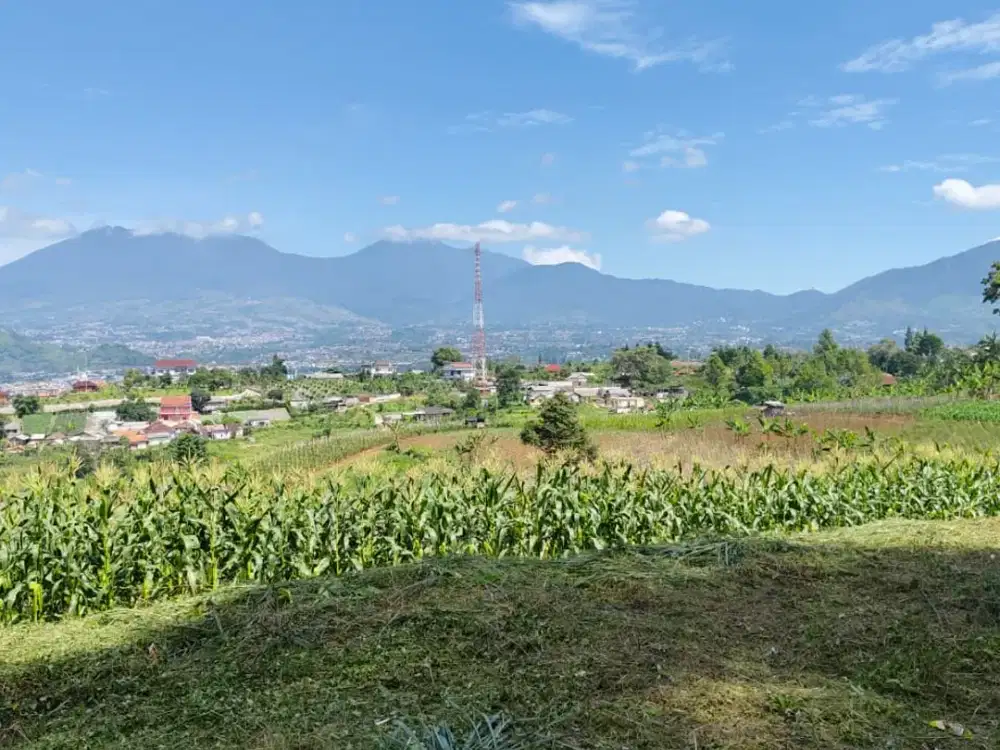 Jual Kavling untuk Villa & Kebun di Puncak Cipanas Bogor