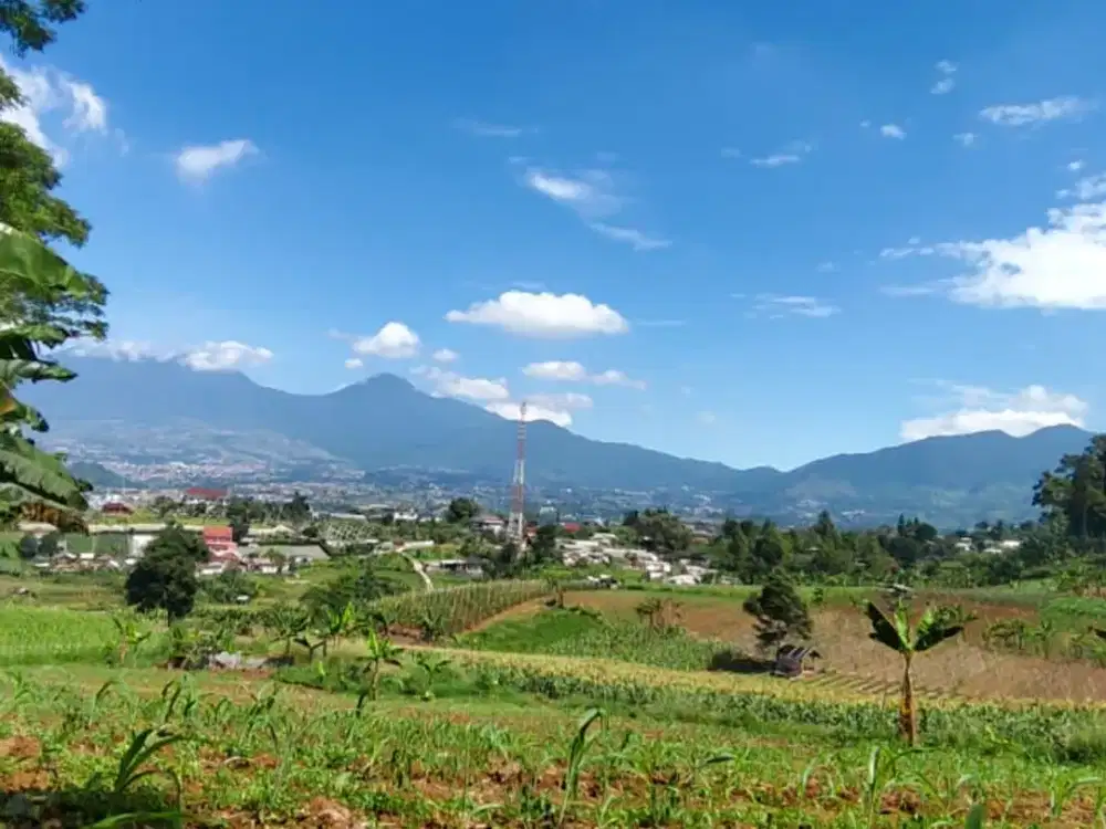 TANAH KAVLING VILLA & KEBUN di Kota Bunga – Puncak Bogor