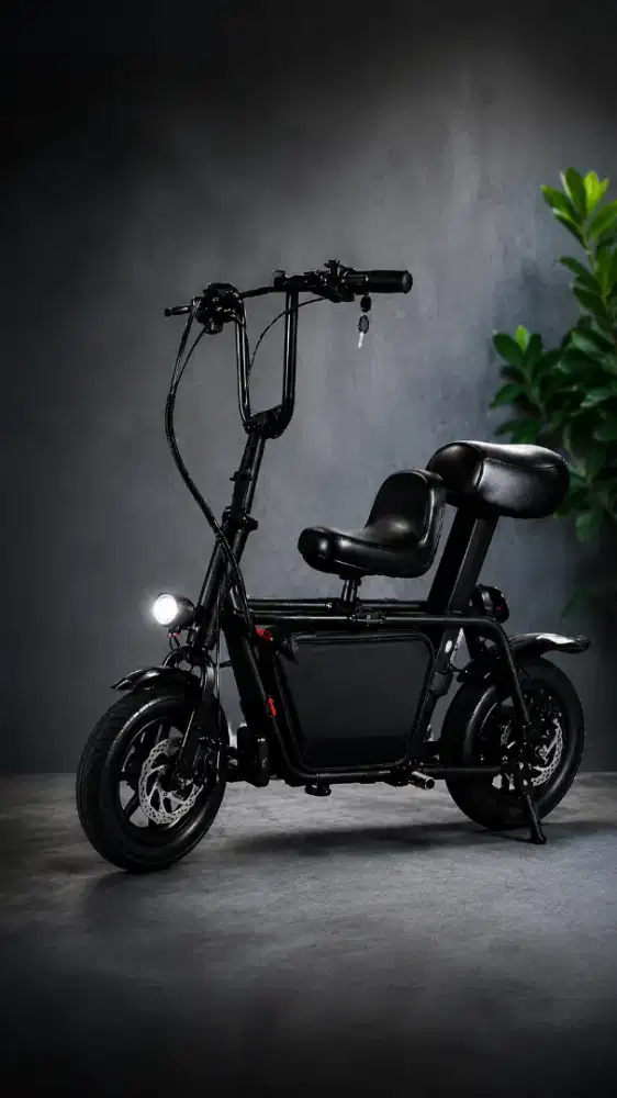 Sepeda listrik Fiido 48 v