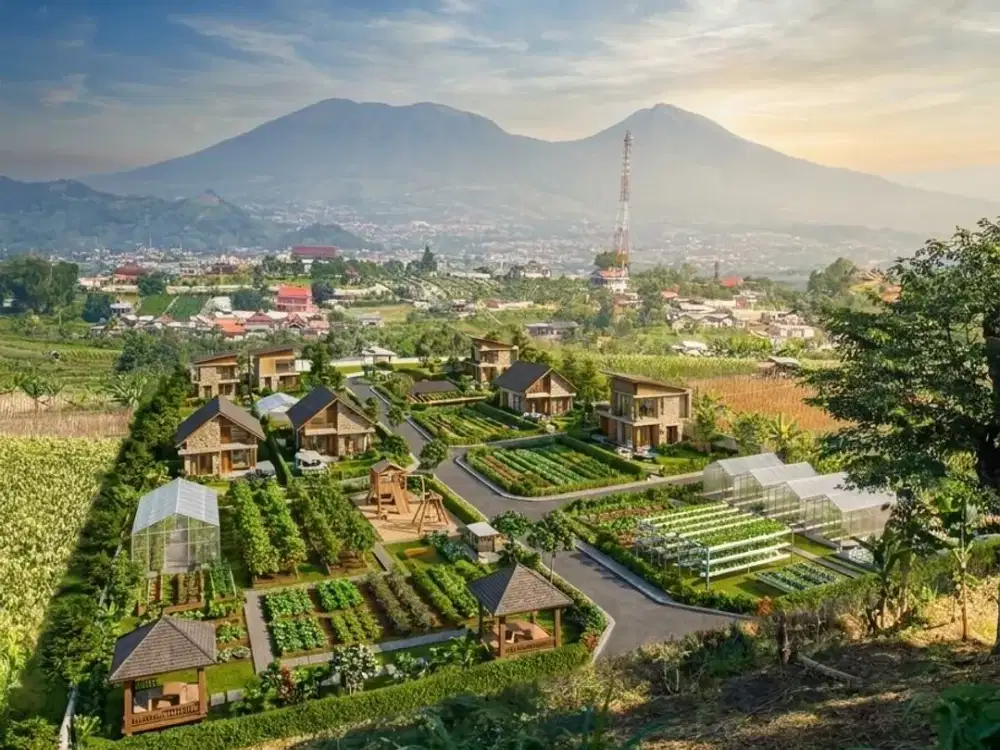 Jual Kavling Murah Cocok Untuk Villa & Kebun di Puncak Bogor