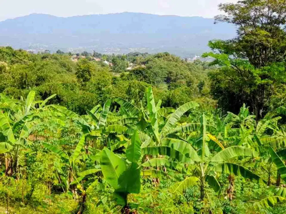 Lahan Kebun Murah View Menawan