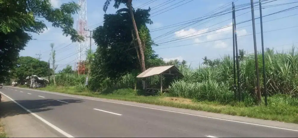 Dijual Lelang Tanah Murah di Nol Jl Raya Situbondo Cocok Untuk Usaha