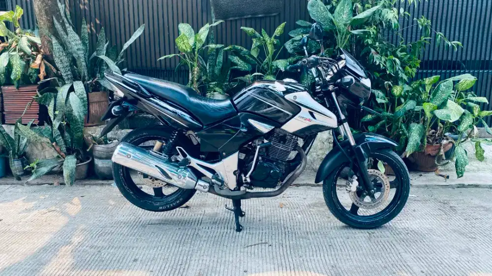 TIGER REVO PECE 2010