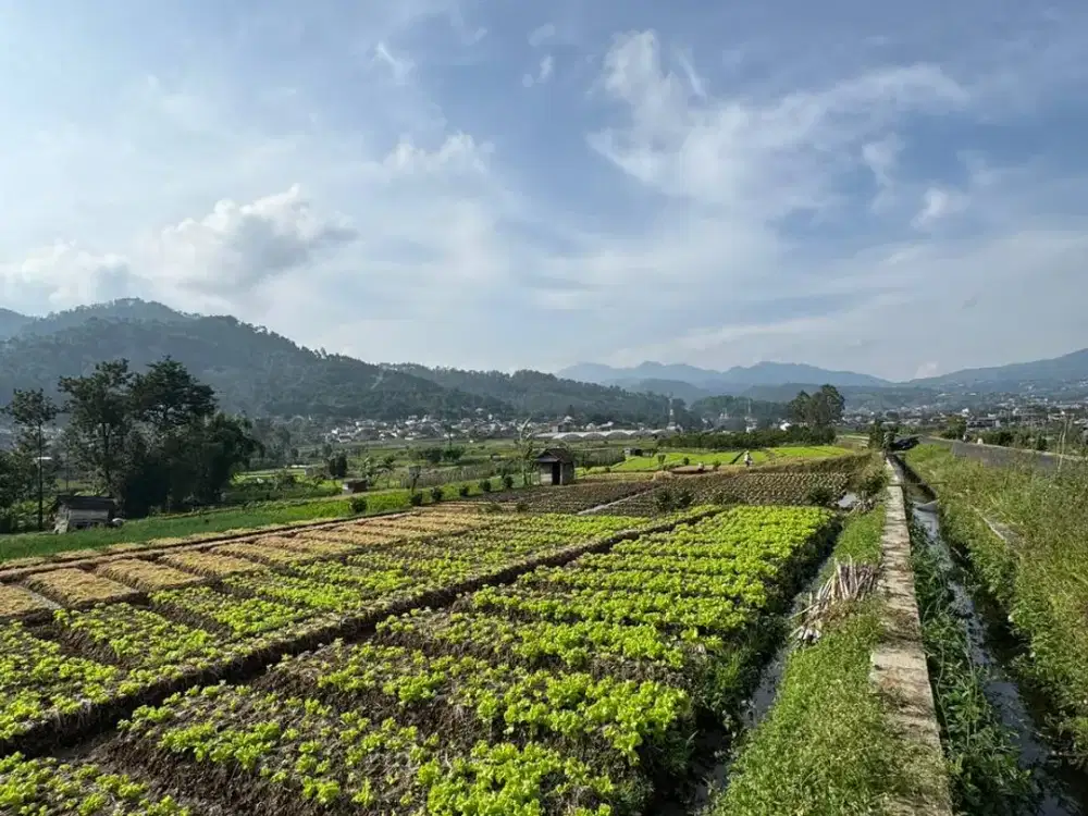 Tanah Premium pinggir jalan View 360° di Tengah Kota Batu – Cocok Villa, Café & Investasi