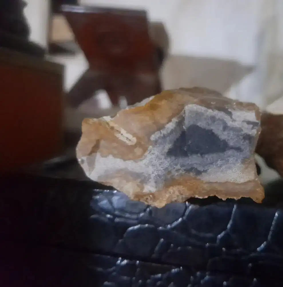 galih kelor (natural fossil wood) tringgular,(segitiga)