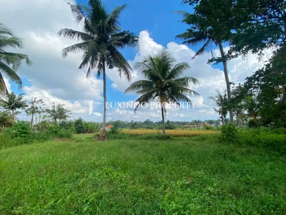 DISEWAKAN JANGKA PANJANG TANAH 13,79 ARE DI KEDEWATAN, UBUD - Thumbnail 5