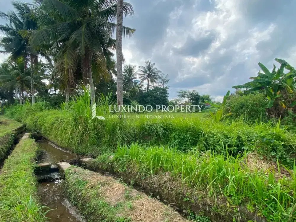 DISEWAKAN JANGKA PANJANG TANAH 13,79 ARE DI KEDEWATAN, UBUD - Thumbnail 7