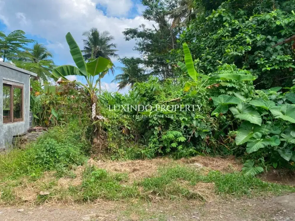 DISEWAKAN JANGKA PANJANG TANAH 13,79 ARE DI KEDEWATAN, UBUD - Thumbnail 10