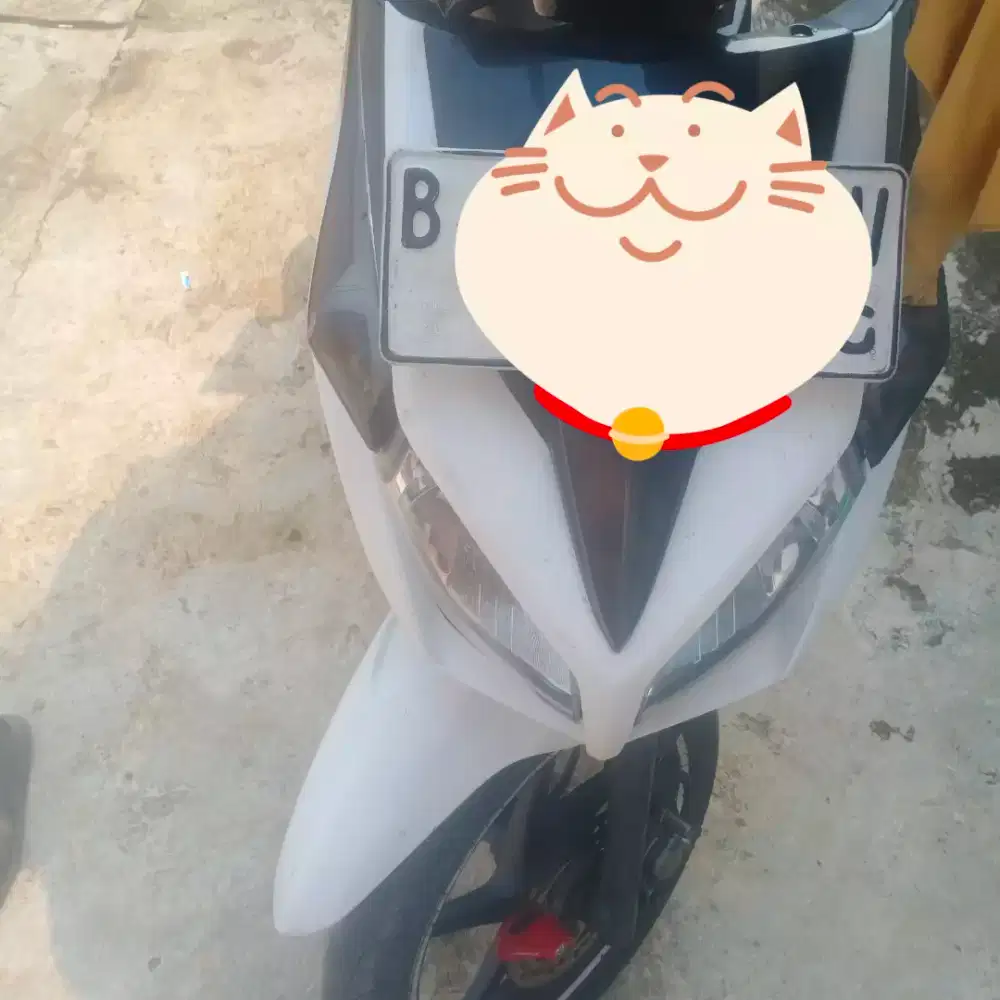 Vario techno 2011