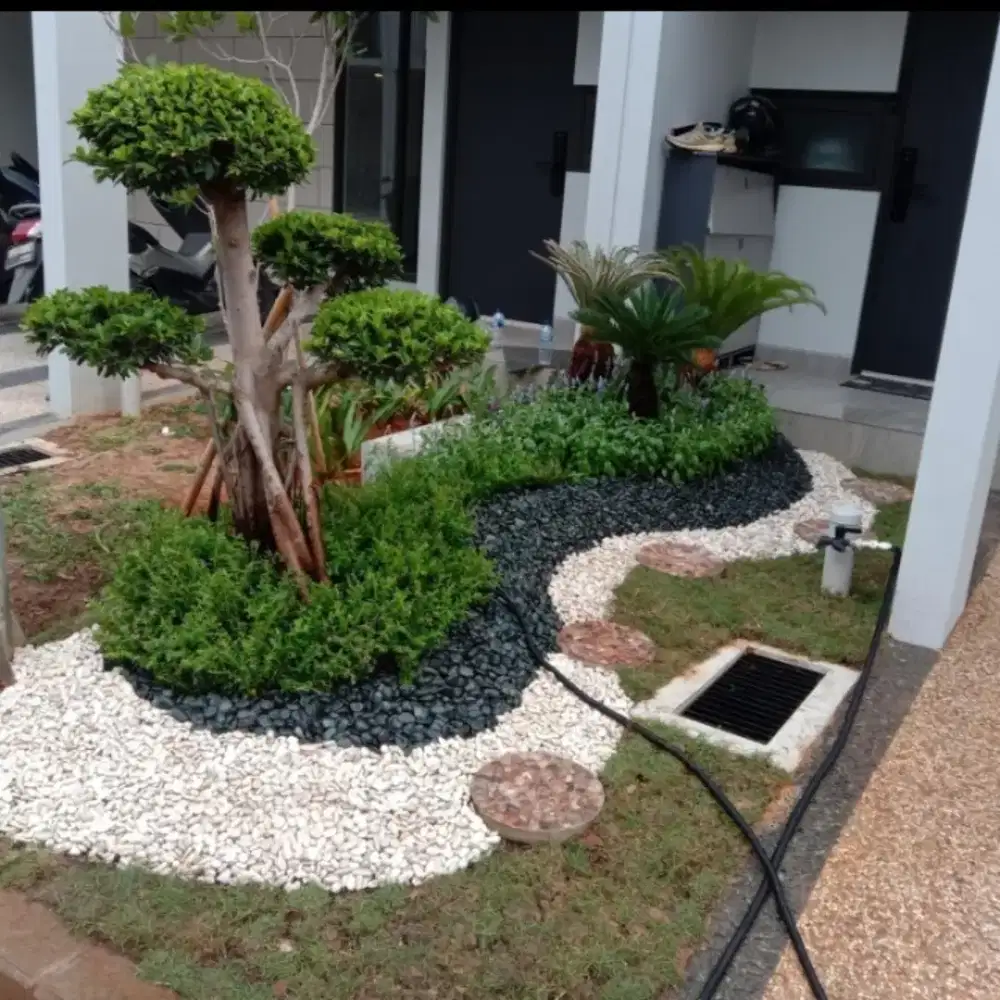 Pembuatan taman kering taman rumput dan dekorasii taman
