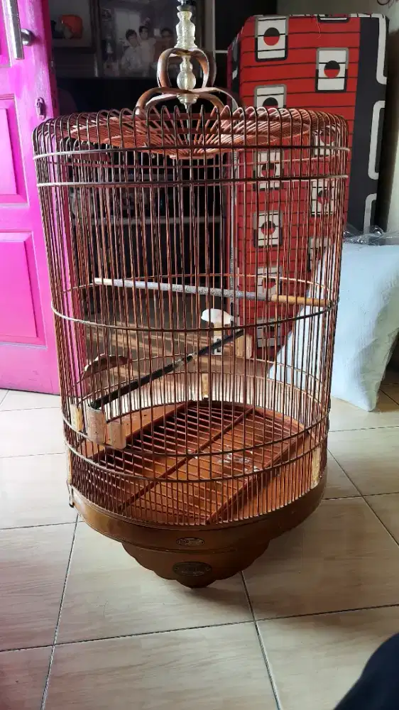 kandang murai bnr no 2